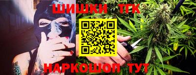 СК Надым