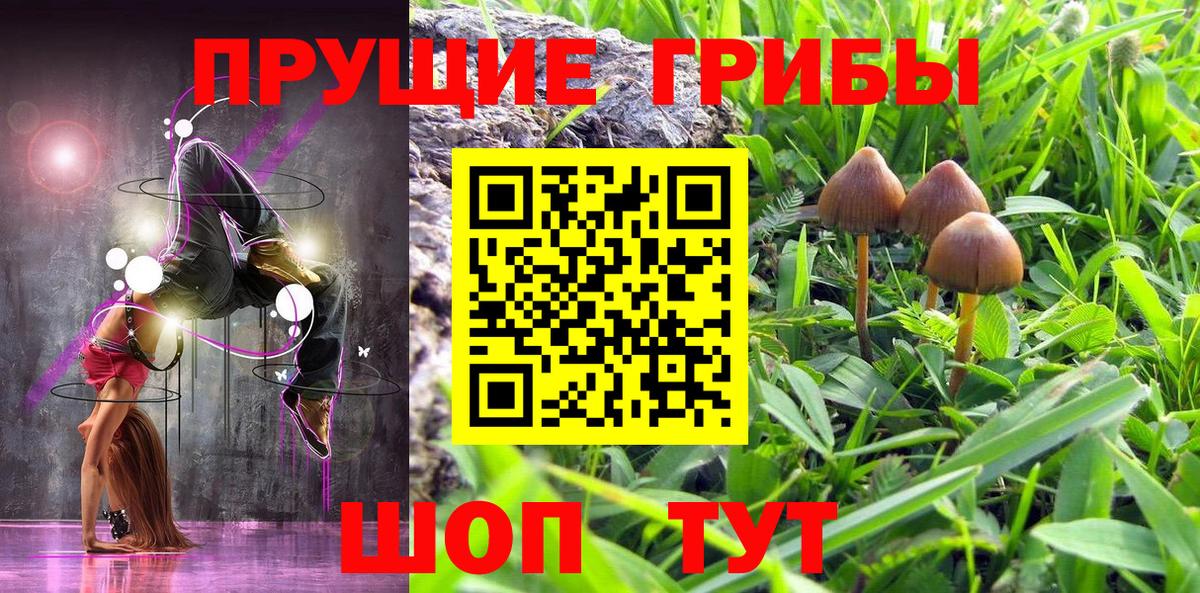 Псилоцибиновые грибы прущие грибы Кострома