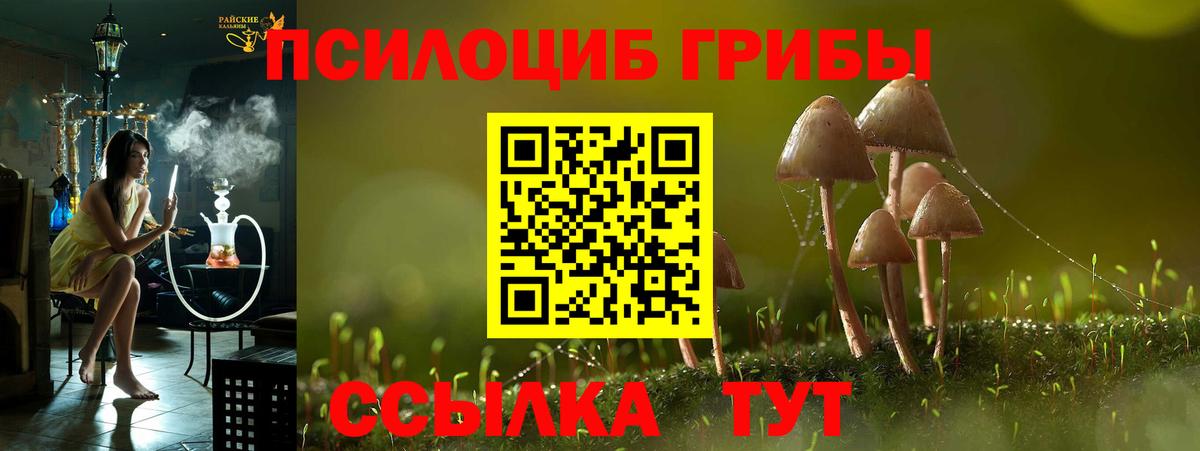 Кострома  Псилоцибиновые грибы Cubensis  где купить наркотик  Вход с VPN 
