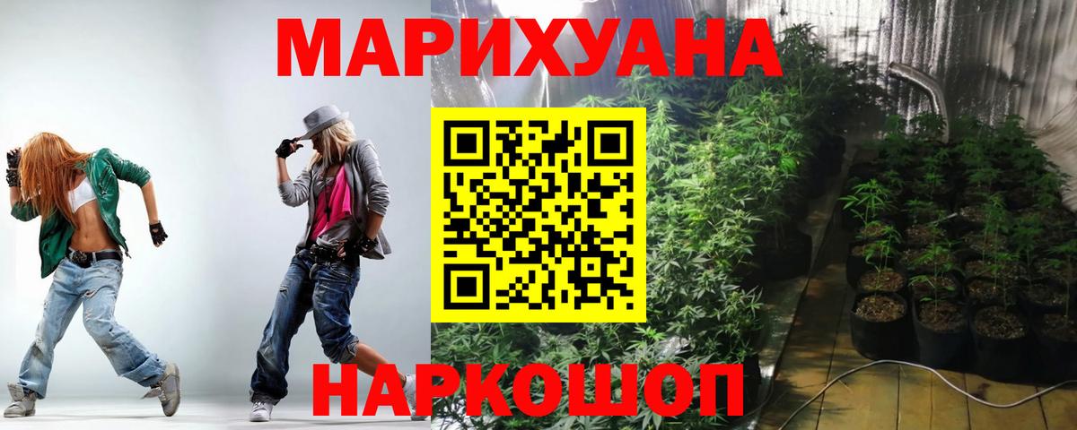 Каннабис Ganja  Вход с VPN  Кострома  Канабис сатива  Конопля MAZAR 